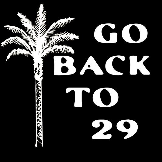 Go Back To 29 Shirt • Black
