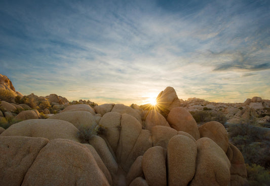 Joshua Tree National Park Association